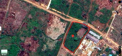 Prime 1-Acre Corner Plot - Galu Environs | Kshs. 7.5m - Image 2