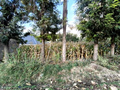 Prime Residential Eighth Acre Plot on Sale in Ngong Olkeri Near Tarmac - Image 1