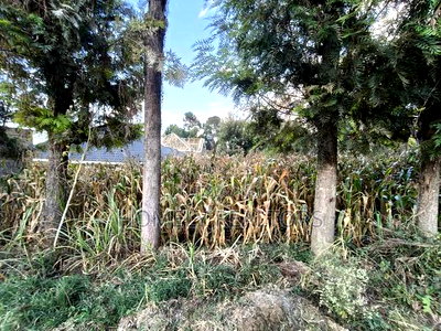 Prime Residential Eighth Acre Plot on Sale in Ngong Olkeri Near Tarmac - Image 2
