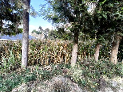 Prime Residential Eighth Acre Plot on Sale in Ngong Olkeri Near Tarmac - Image 3