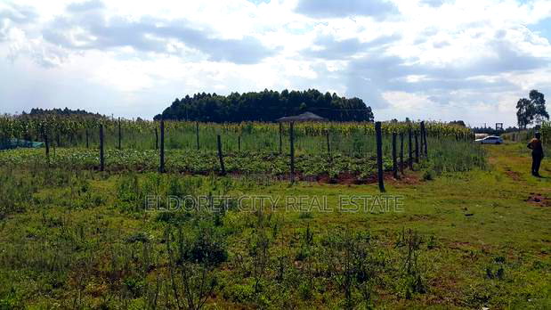 3/4 Plot for Sale in Kiplombe