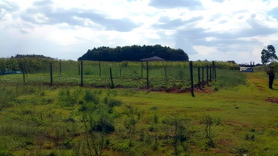 3/4 Plot for Sale in Kiplombe