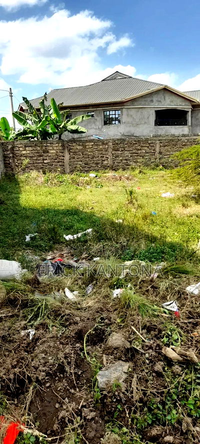 Titled 3pcs Of35*80 Commercial Plots at Kibiku Post Utawala - Image 2