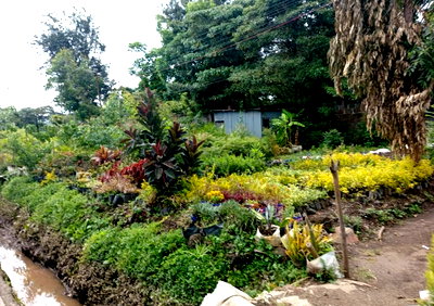0.3 Acre Commercial Plot in Bahati