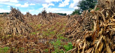 Plots for Sale Proposed MTRH Kibulgeny Kiplombe Eldoret - Image 3