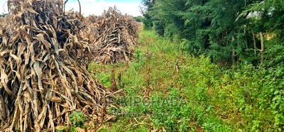 Plots for Sale Proposed MTRH Kibulgeny Kiplombe Eldoret - Image 2