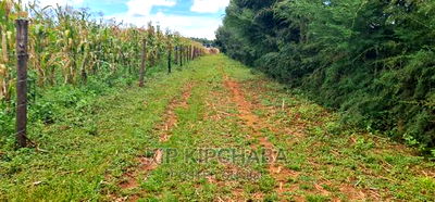 Plots for Sale Proposed MTRH Kibulgeny Kiplombe Eldoret - Image 5
