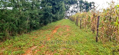 Plots for Sale Proposed MTRH Kibulgeny Kiplombe Eldoret - Image 4