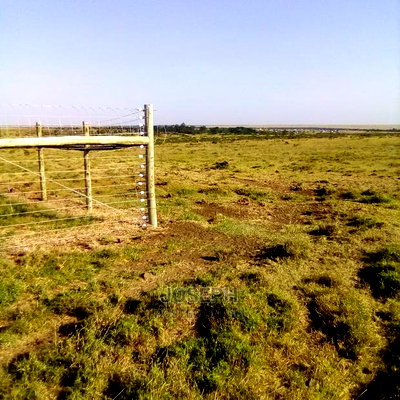 Nanyuki Endana 57acres Ewaso Nyiro River Fronatge - Image 3