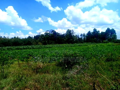 12 Acrea Touching River. Located Nanyuki via Narumoro - Image 2