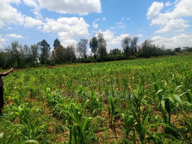 12 Acrea Touching River. Located Nanyuki via Narumoro