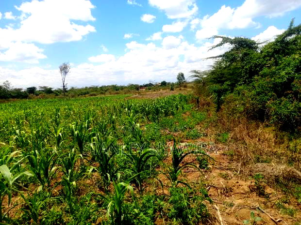 12 Acrea Touching River. Located Nanyuki via Narumoro