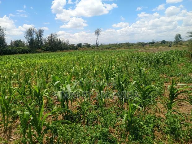 12 Acrea Touching River. Located Nanyuki via Narumoro