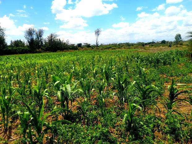 12 Acrea Touching River. Located Nanyuki via Narumoro