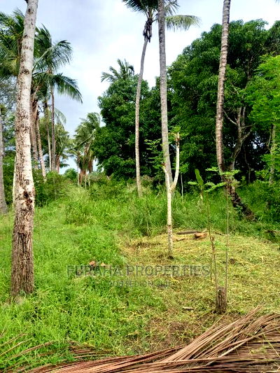 For Sale 4 Acre Agricultural Land Kikambala - Image 9