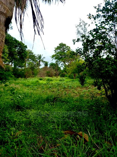 For Sale 4 Acre Agricultural Land Kikambala - Image 2