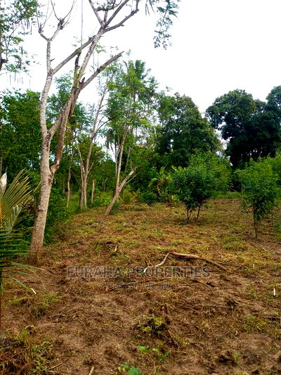 For Sale 4 Acre Agricultural Land Kikambala - Image 3