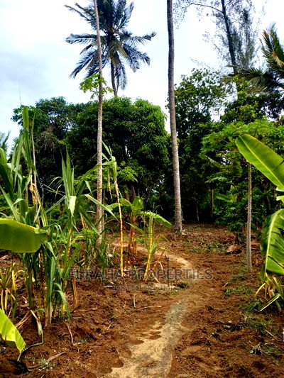 For Sale 4 Acre Agricultural Land Kikambala - Image 8