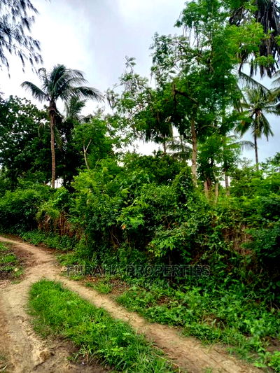 For Sale 4 Acre Agricultural Land Kikambala - Image 6