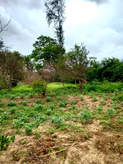 For Sale 4 Acre Agricultural Land Kikambala - Image 1