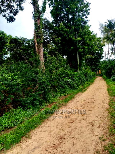 For Sale 4 Acre Agricultural Land Kikambala - Image 5