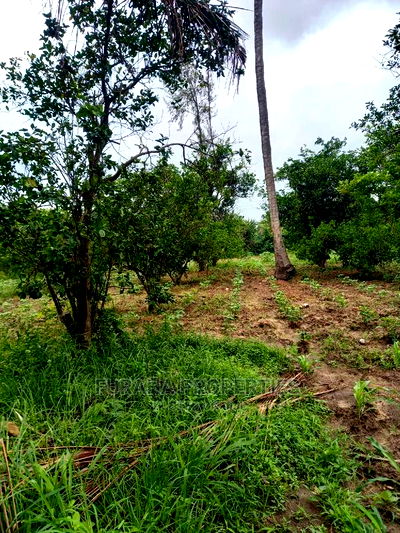 For Sale 4 Acre Agricultural Land Kikambala - Image 4