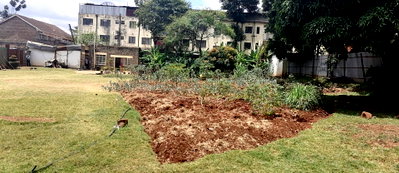 Half Acre Plot with Garden in Parklands