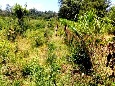 6.5 Acres Land With a 4 Bedroom House for Sale - Image 3