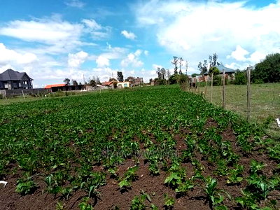 Kamakis Residential Plot on Sale at 2.5 M Negotiable - Image 2