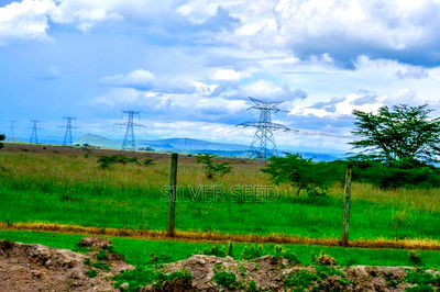 Success Gardens - Nakuru - Image 2