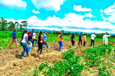 Success Gardens - Nakuru - Image 5