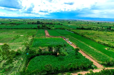 Success Gardens - Nakuru - Image 10