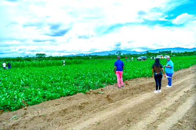 Success Gardens - Nakuru - Image 1