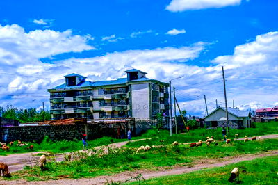 Success Gardens - Nakuru - Image 9