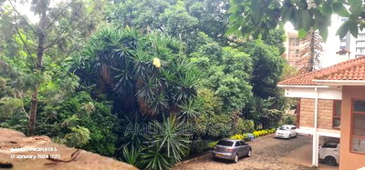 Riverside: 0.75 Acre for Sale - Image 4