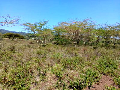 Very Quick Distress Sale! 1/2 Acre Off Ngong-Kiserian Tarmac - Image 2