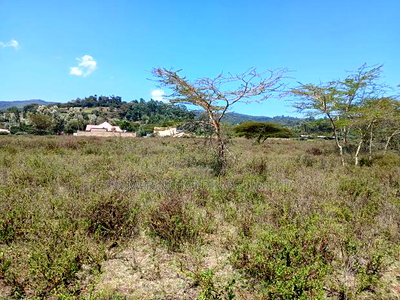 Very Quick Distress Sale! 1/2 Acre Off Ngong-Kiserian Tarmac - Image 1