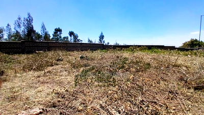 Prime Plot for Sale in a Gated Community in Kikuyu,Rosegate - Image 3