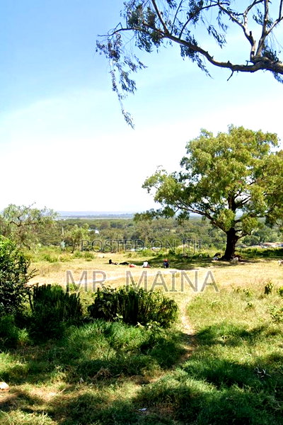 5 Acres in Naivasha Next to Olive Resort - Image 2