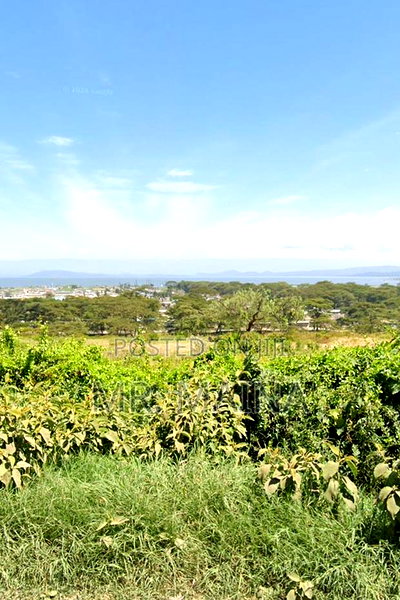 5 Acres in Naivasha Next to Olive Resort - Image 4