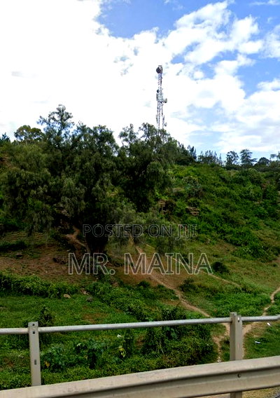 5 Acres in Naivasha Next to Olive Resort - Image 5