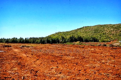 Spring Valley Estate. Prime Plots in Thigio, Kikuyu - Image 4