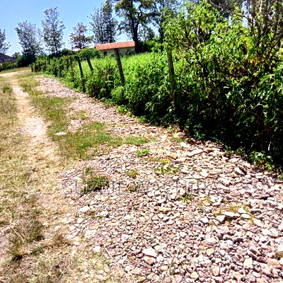 1acre Land for Sale at Kenol Touching Kenol Marua Highway - Image 3