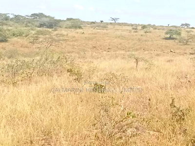5 Acre Block of Land for Sale in Sholinke Kiserian - Image 6