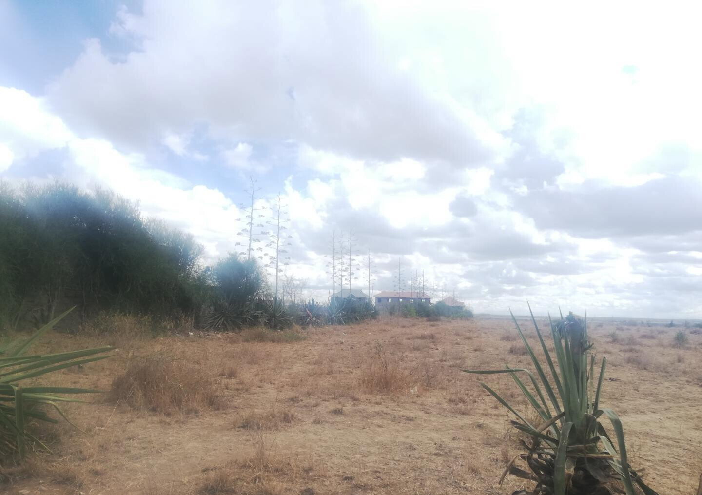 KSh 10M Plot in Kinanie