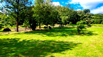 1/4 Acre Plots For Sale In Ngong (TULIVU ESTATE) - Image 7
