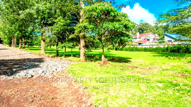 1/4 Acre Plots For Sale In Ngong (TULIVU ESTATE)