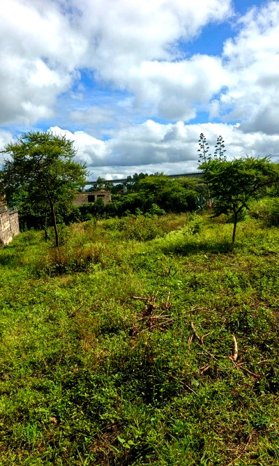 1/4 Acre Rimpa Plot at KSh 6.5M