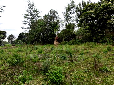 Eighth Acre Plot in Kerarapon Drive, Ngong 100m From Tarmac - Image 2