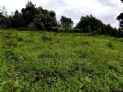 Eighth Acre Plot in Kerarapon Drive, Ngong 100m From Tarmac - Image 4